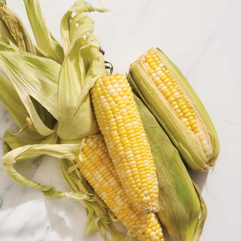 A Guide to Preserving Corn