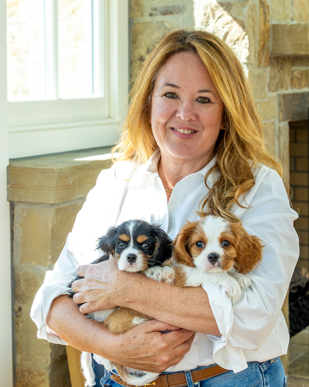 A Guide to Dog-Friendly Treats